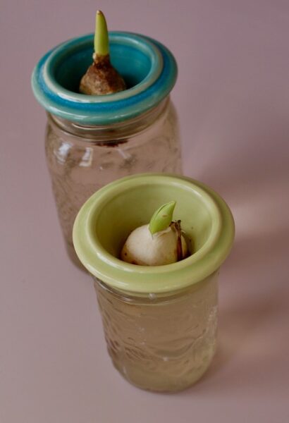 #5. Canning Jar Bulb Forcers