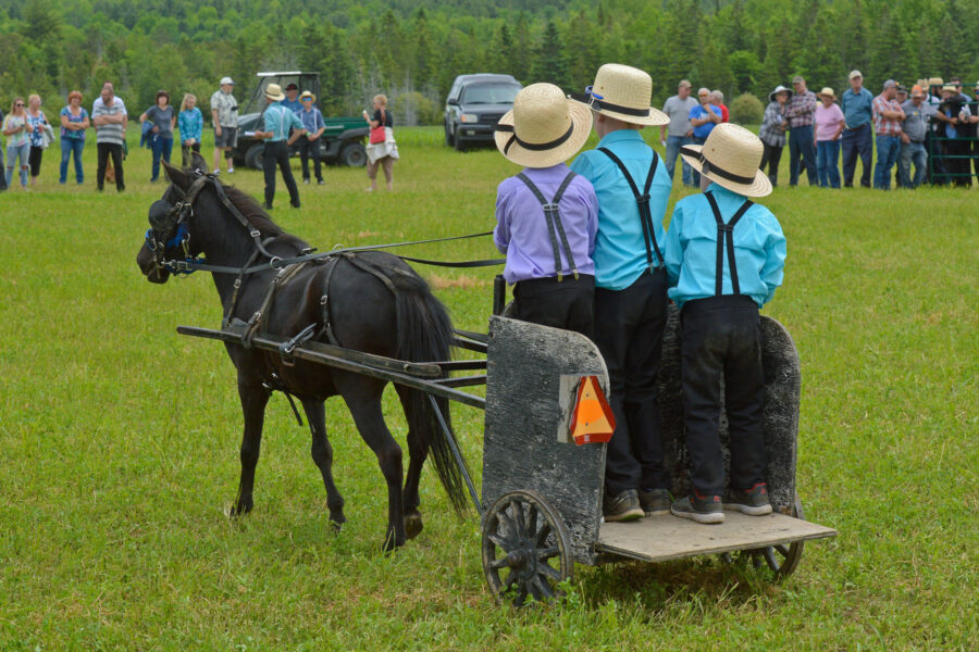 22087 (0,14,12,-5,-5,0)