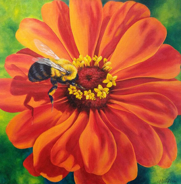 Kelly Maw Zinnia and The Bumbler $500