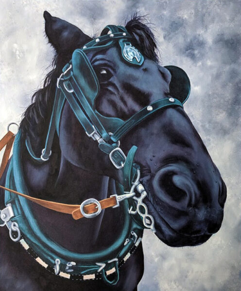 Your Wish is My Command Kelly Maw Owen Sound $700