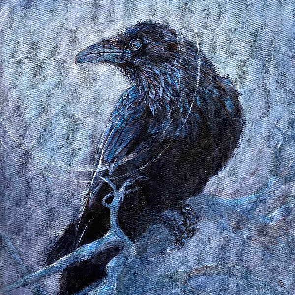 Robson_Insight_12x12FB